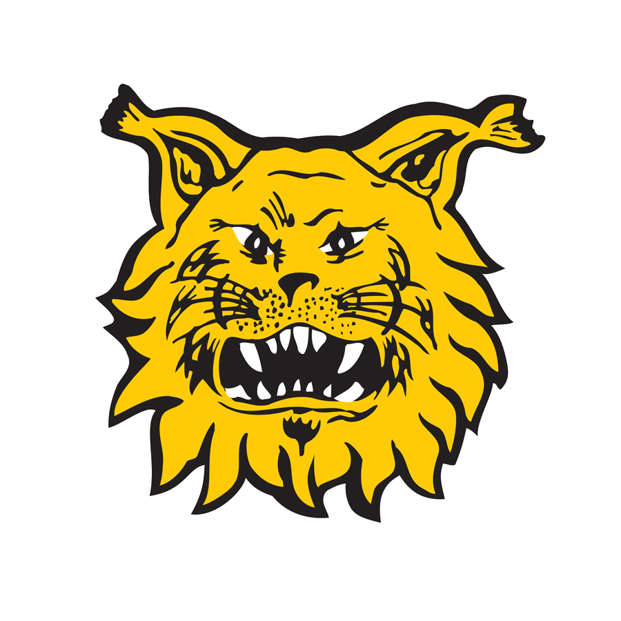 Ilves Logo