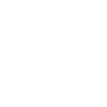 NSU Logo